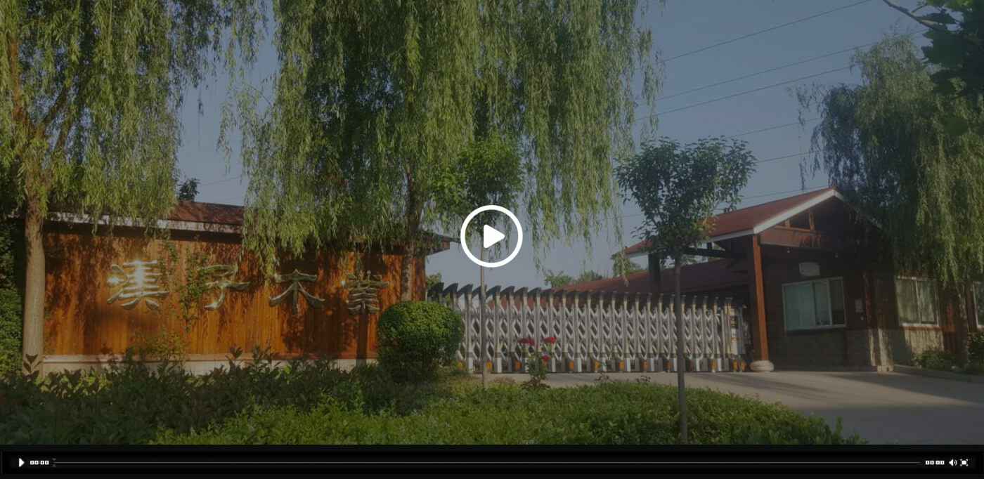 开云电子-开云(中国)